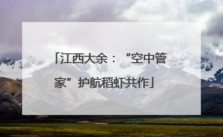 江西大余：“空中管家”护航稻虾共作