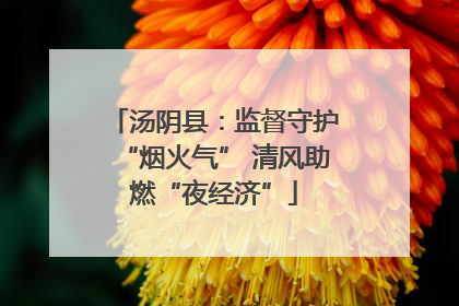 汤阴县：监督守护“烟火气” 清风助燃“夜经济”