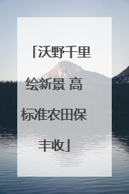 沃野千里绘新景 高标准农田保丰收