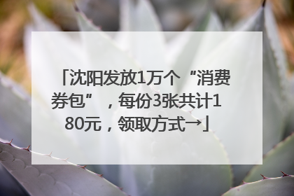 沈阳发放1万个“消费券包”，每份3张共计180元，领取方式→