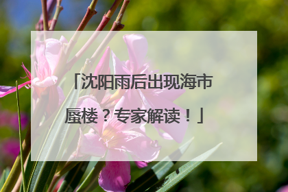 沈阳雨后出现海市蜃楼？专家解读！