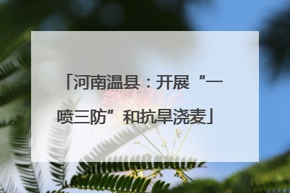 河南温县：开展“一喷三防”和抗旱浇麦