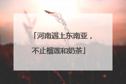 河南遇上东南亚，不止榴莲和奶茶