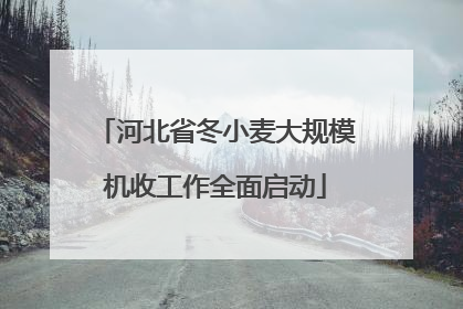 河北省冬小麦大规模机收工作全面启动
