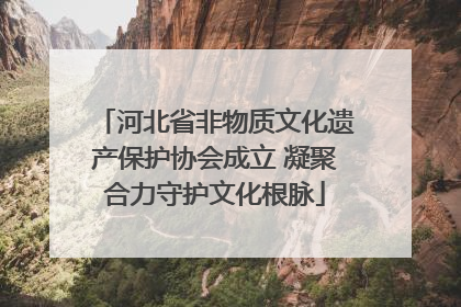 河北省非物质文化遗产保护协会成立 凝聚合力守护文化根脉
