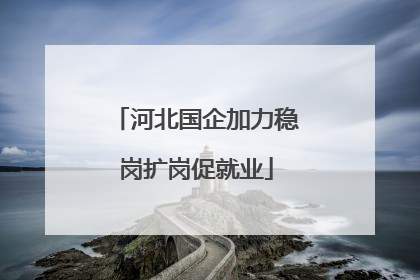 河北国企加力稳岗扩岗促就业