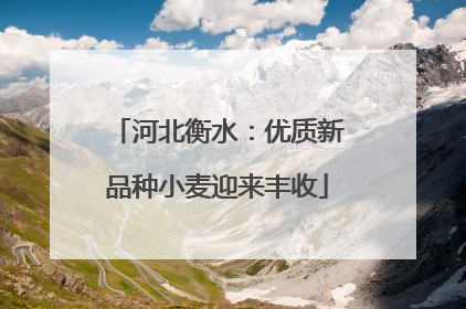 河北衡水：优质新品种小麦迎来丰收