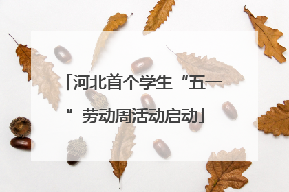 河北首个学生“五一”劳动周活动启动