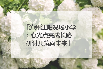 泸州江阳况场小学：心光点亮成长路 研讨共筑向未来