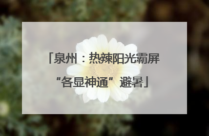 泉州：热辣阳光霸屏 “各显神通”避暑