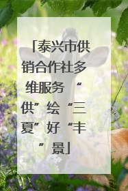 泰兴市供销合作社多维服务 “供”绘“三夏”好“丰”景