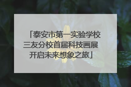 泰安市第一实验学校三友分校首届科技画展开启未来想象之旅