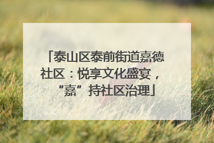 泰山区泰前街道嘉德社区：悦享文化盛宴，“嘉”持社区治理
