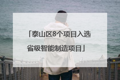 泰山区8个项目入选省级智能制造项目