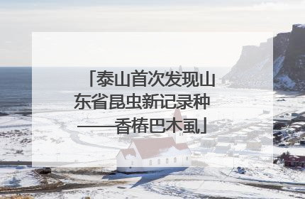 泰山首次发现山东省昆虫新记录种——香椿巴木虱