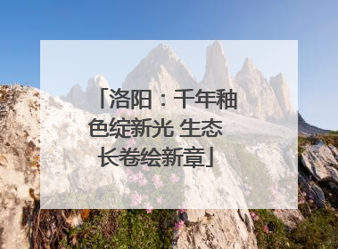洛阳：千年釉色绽新光 生态长卷绘新章
