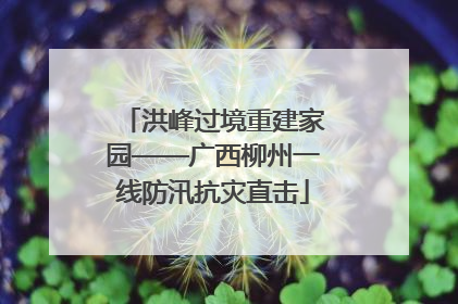 洪峰过境重建家园——广西柳州一线防汛抗灾直击