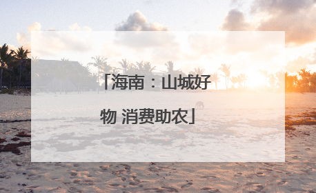 海南：山城好物 消费助农