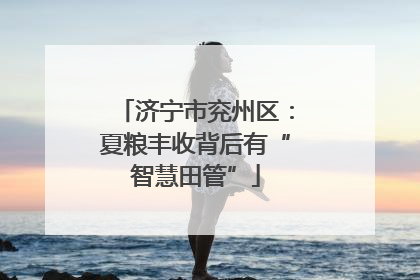济宁市兖州区：夏粮丰收背后有“智慧田管”