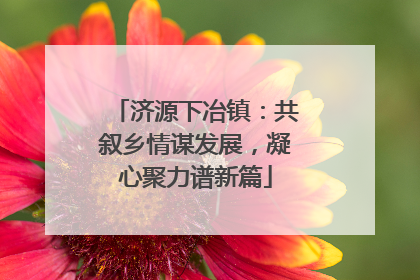 济源下冶镇：共叙乡情谋发展，凝心聚力谱新篇