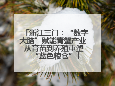 浙江三门：“数字大脑”赋能青蟹产业 从育苗到养殖重塑“蓝色粮仓”