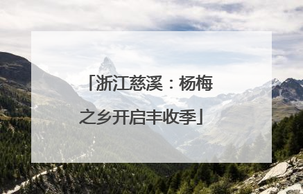 浙江慈溪：杨梅之乡开启丰收季
