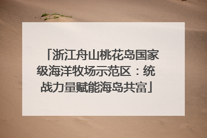 浙江舟山桃花岛国家级海洋牧场示范区：统战力量赋能海岛共富