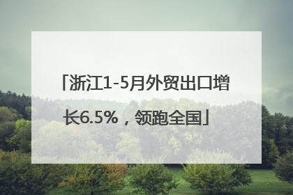 浙江1-5月外贸出口增长6.5%，领跑全国