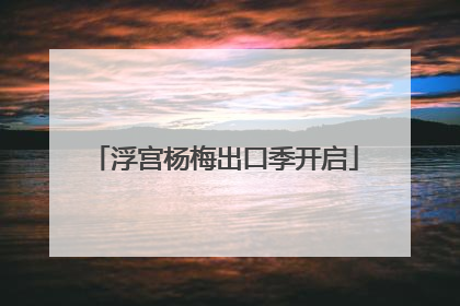 浮宫杨梅出口季开启