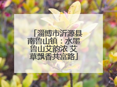 淄博市沂源县南鲁山镇：水墨鲁山艾韵浓 艾草飘香共富路