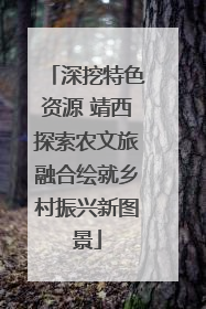 深挖特色资源 靖西探索农文旅融合绘就乡村振兴新图景