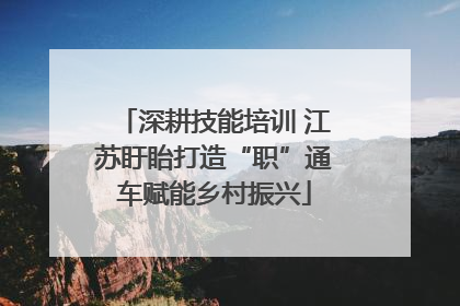 深耕技能培训 江苏盱眙打造“职”通车赋能乡村振兴