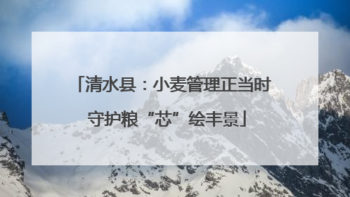 清水县：小麦管理正当时 守护粮“芯”绘丰景