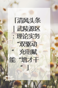 清风头条｜武陵源区：理论实务“双驱动 ” 充电赋能“增才干”