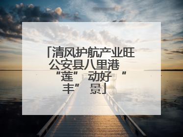 清风护航产业旺 公安县八里港 “莲” 动好 “丰” 景