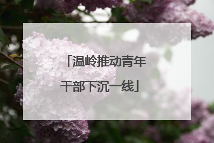 温岭推动青年干部下沉一线