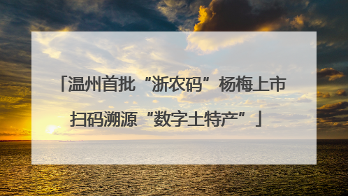 温州首批“浙农码”杨梅上市 扫码溯源“数字土特产”