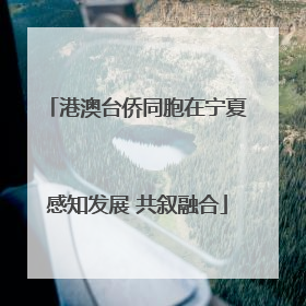 港澳台侨同胞在宁夏感知发展 共叙融合