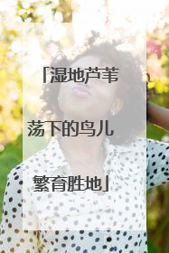 湿地芦苇荡下的鸟儿繁育胜地