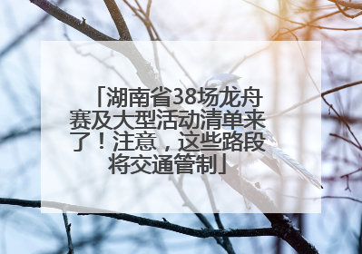 湖南省38场龙舟赛及大型活动清单来了！注意，这些路段将交通管制
