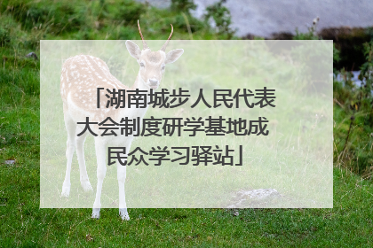 湖南城步人民代表大会制度研学基地成民众学习驿站