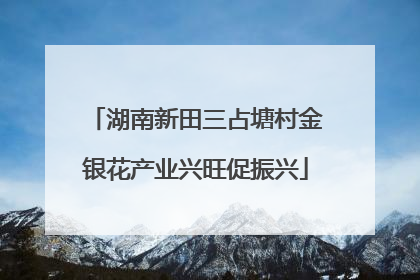 湖南新田三占塘村金银花产业兴旺促振兴