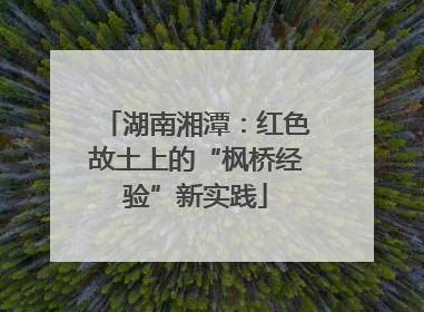 湖南湘潭：红色故土上的“枫桥经验”新实践