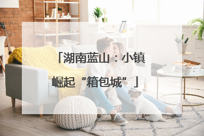 湖南蓝山：小镇崛起“箱包城”