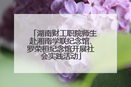 湖南财工职院师生赴湘南学联纪念馆、罗荣桓纪念馆开展社会实践活动