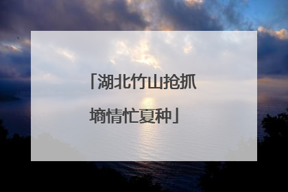 湖北竹山抢抓墒情忙夏种