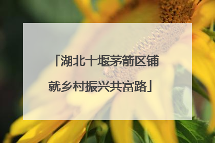湖北十堰茅箭区铺就乡村振兴共富路
