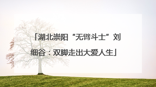 湖北崇阳“无臂斗士”刘细谷：双脚走出大爱人生