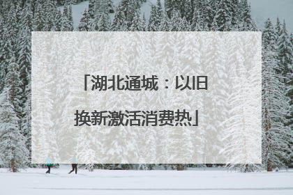 湖北通城：以旧换新激活消费热