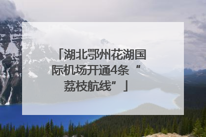 湖北鄂州花湖国际机场开通4条“荔枝航线”